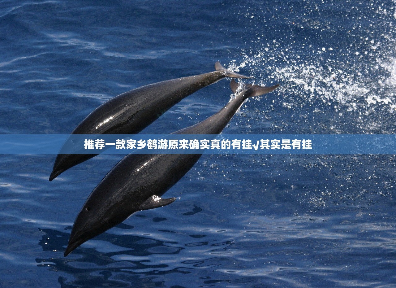 推荐一款家乡鹤游原来确实真的有挂√其实是有挂