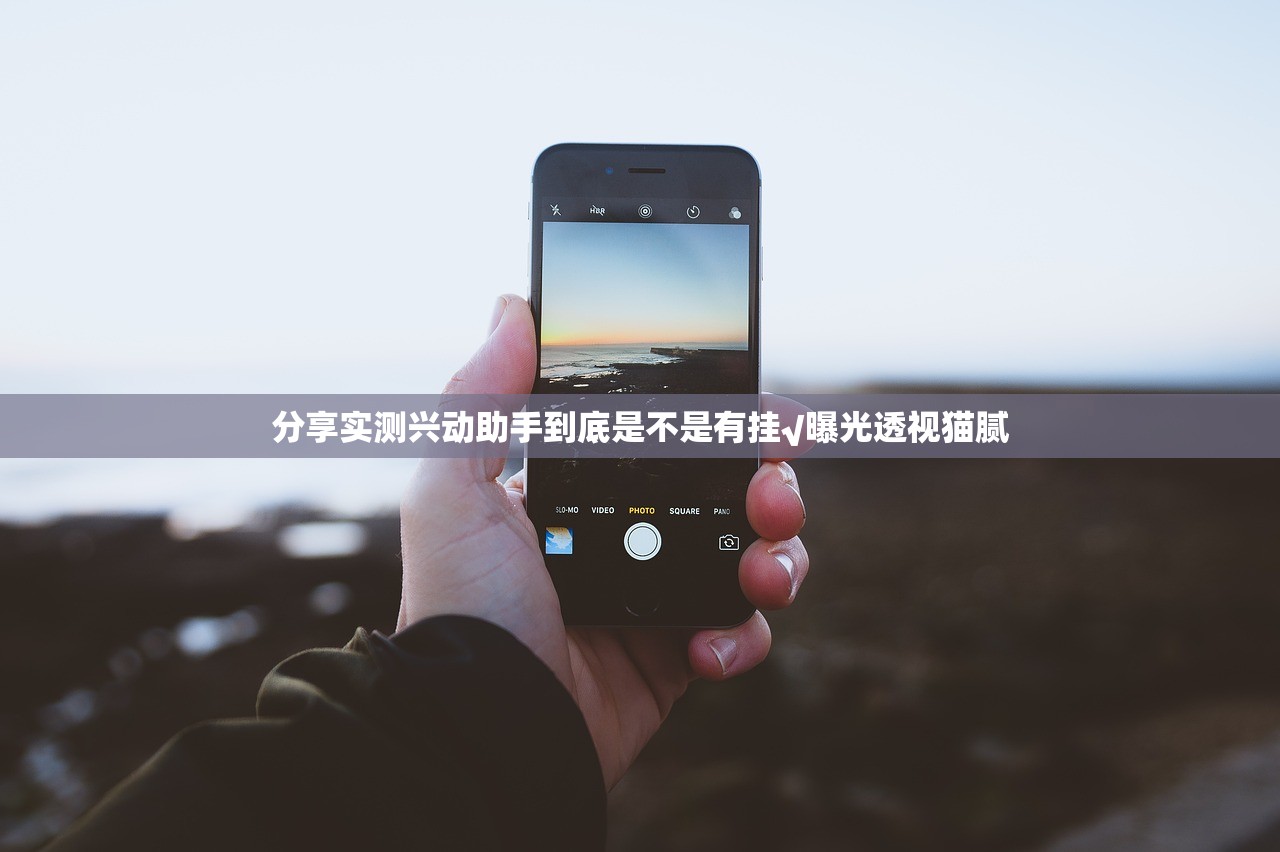 分享实测湖南骨牌有没有挂,其实有挂(确实有挂)