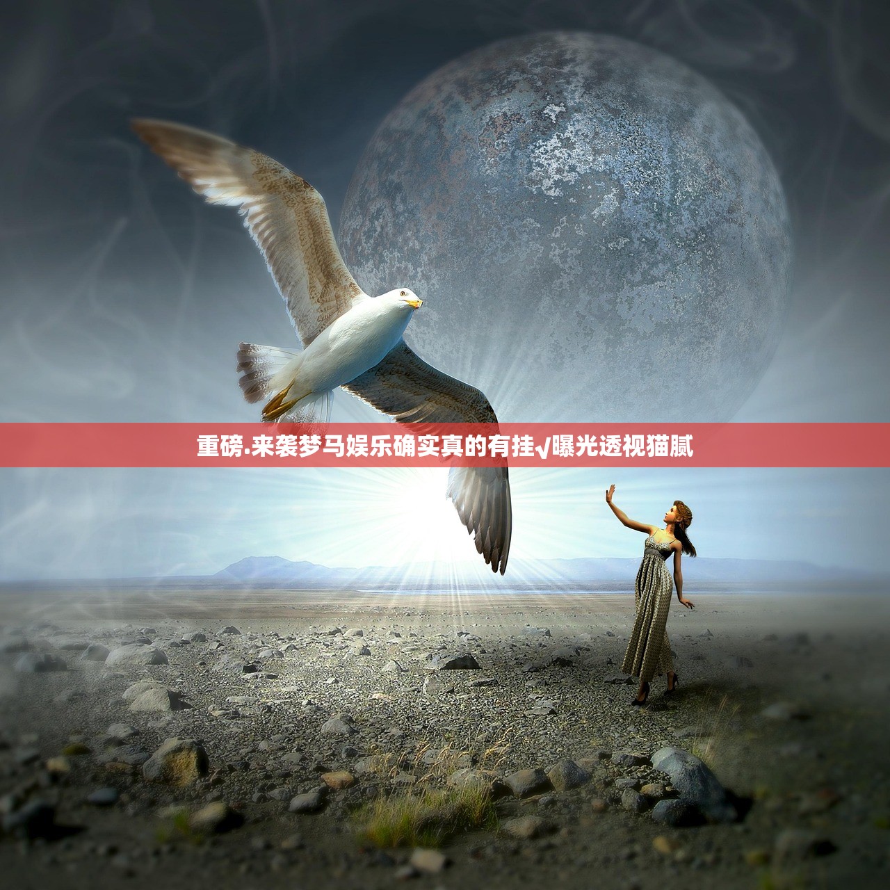 重磅.来袭梦马娱乐确实真的有挂√曝光透视猫腻