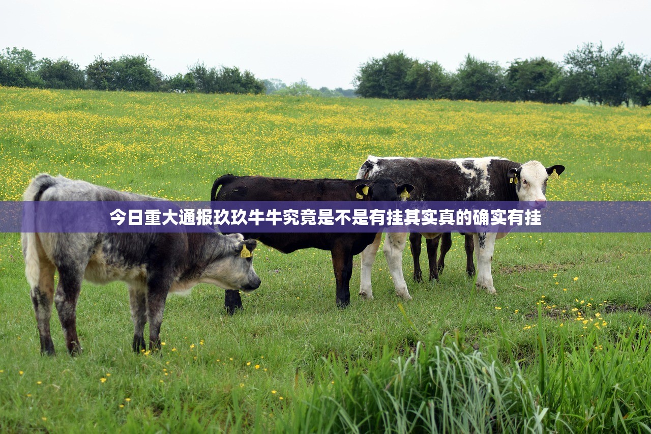 今日重大通报玖玖牛牛究竟是不是有挂其实真的确实有挂