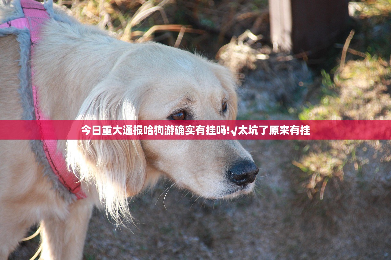 今日重大通报哈狗游确实有挂吗!√太坑了原来有挂