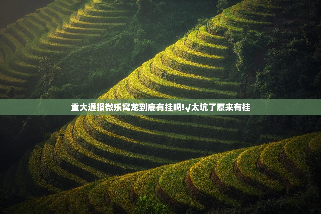 重大通报微乐窝龙到底有挂吗!√太坑了原来有挂