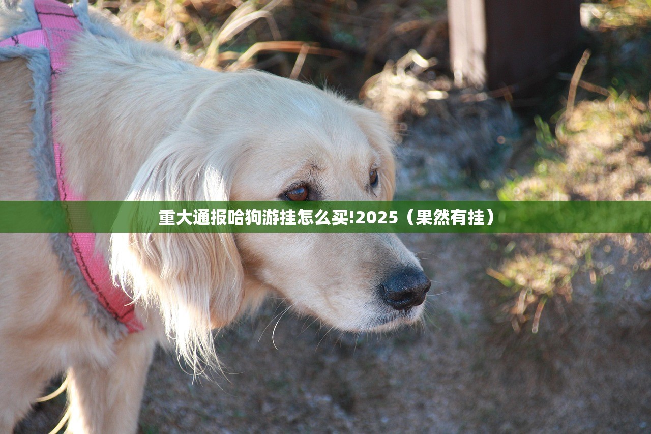 今日重大通报先锋跑得快确实是有挂√其实是有挂