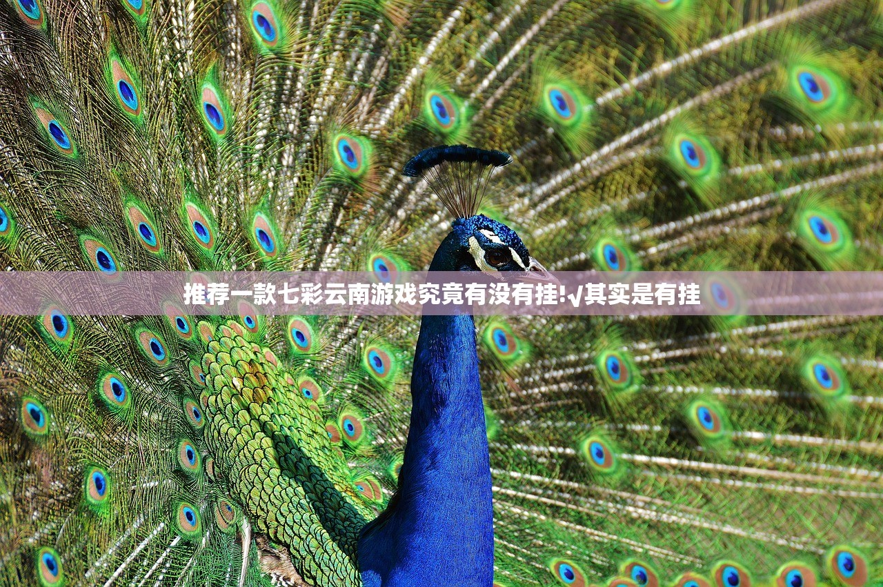 今日重大通报微乐陕西挖坑真的确实可以开挂@太坑了真的有挂