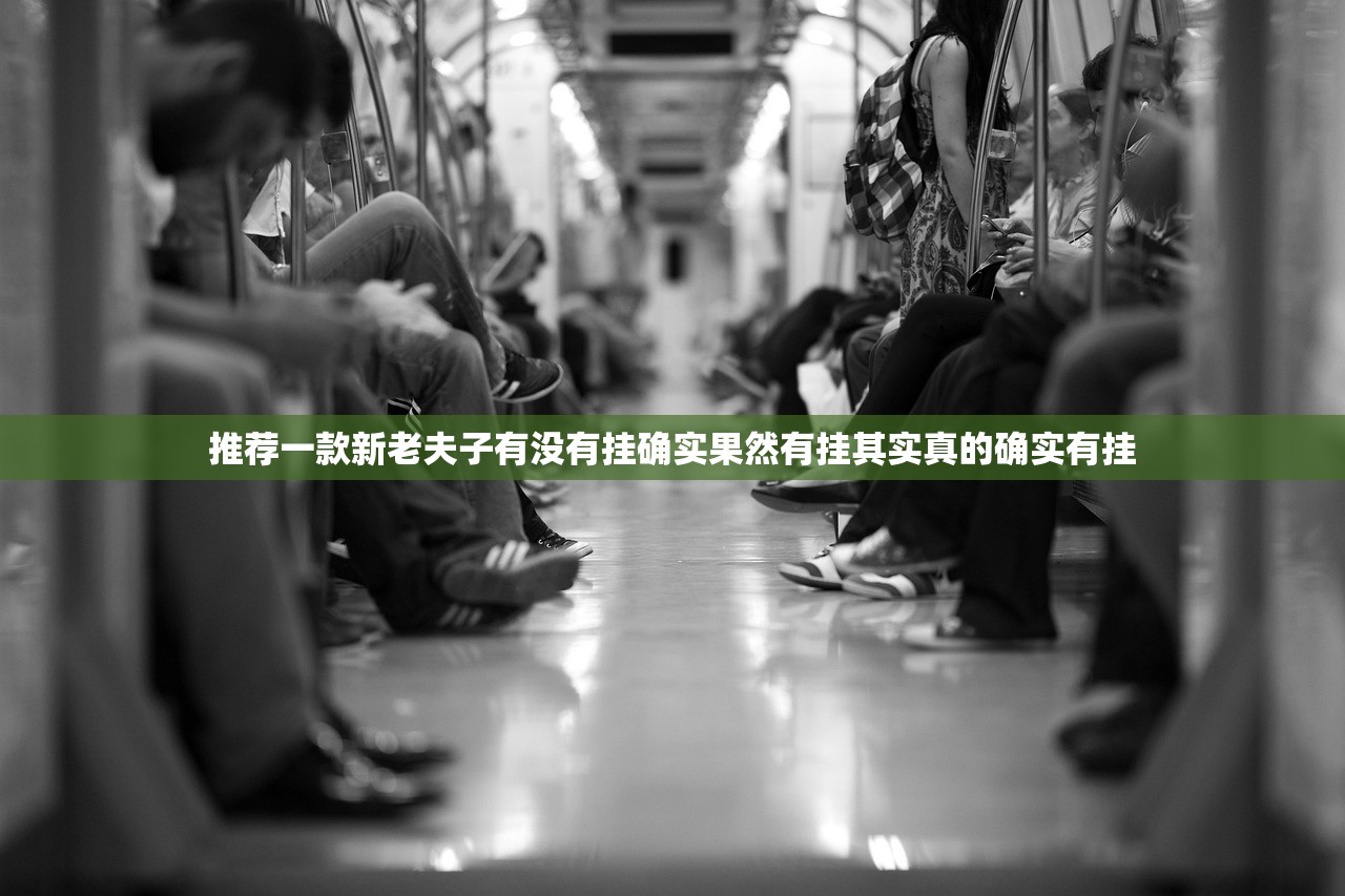 推荐一款新老夫子有没有挂确实果然有挂其实真的确实有挂