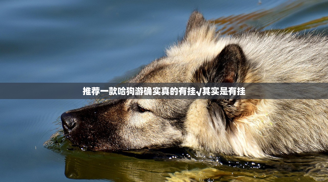 推荐一款哈狗游确实真的有挂√其实是有挂