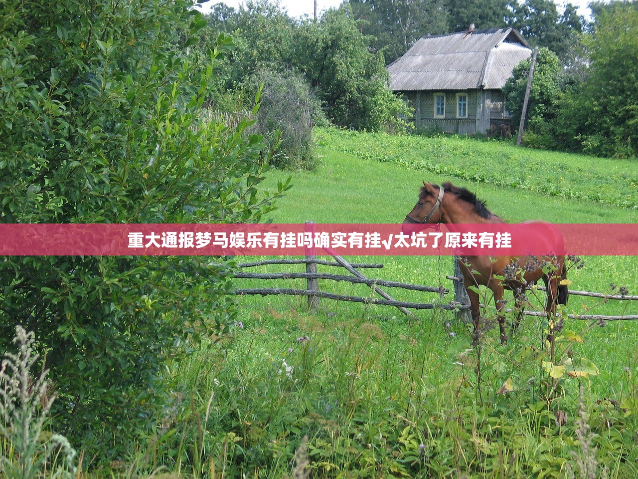 重大通报梦马娱乐有挂吗确实有挂√太坑了原来有挂 重大通报梦马娱乐有挂吗确实有挂√太坑了原来有挂