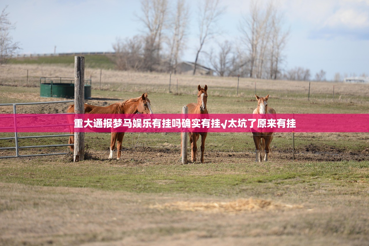 重大通报梦马娱乐有挂吗确实有挂√太坑了原来有挂 重大通报梦马娱乐有挂吗确实有挂√太坑了原来有挂