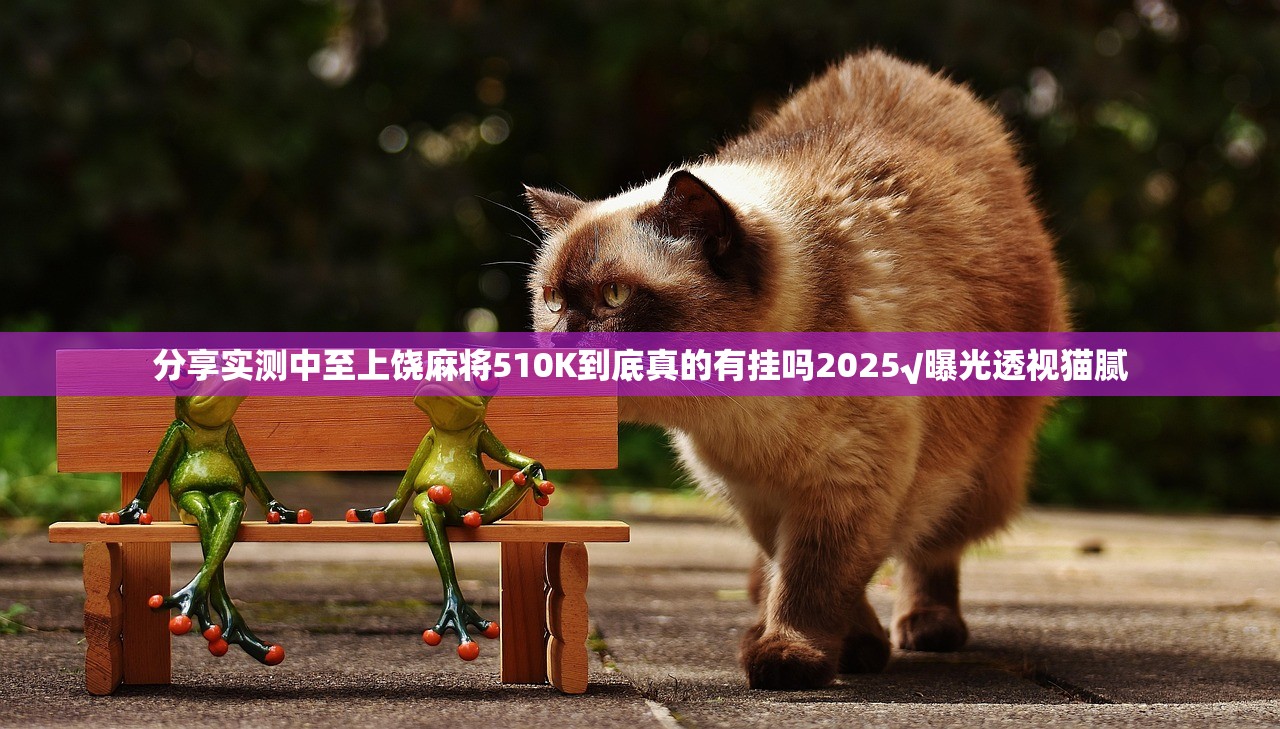 分享实测中至上饶麻将510K到底真的有挂吗2025√曝光透视猫腻 分享实测中至上饶麻将510K到底真的有挂吗2025√曝光透视猫腻
