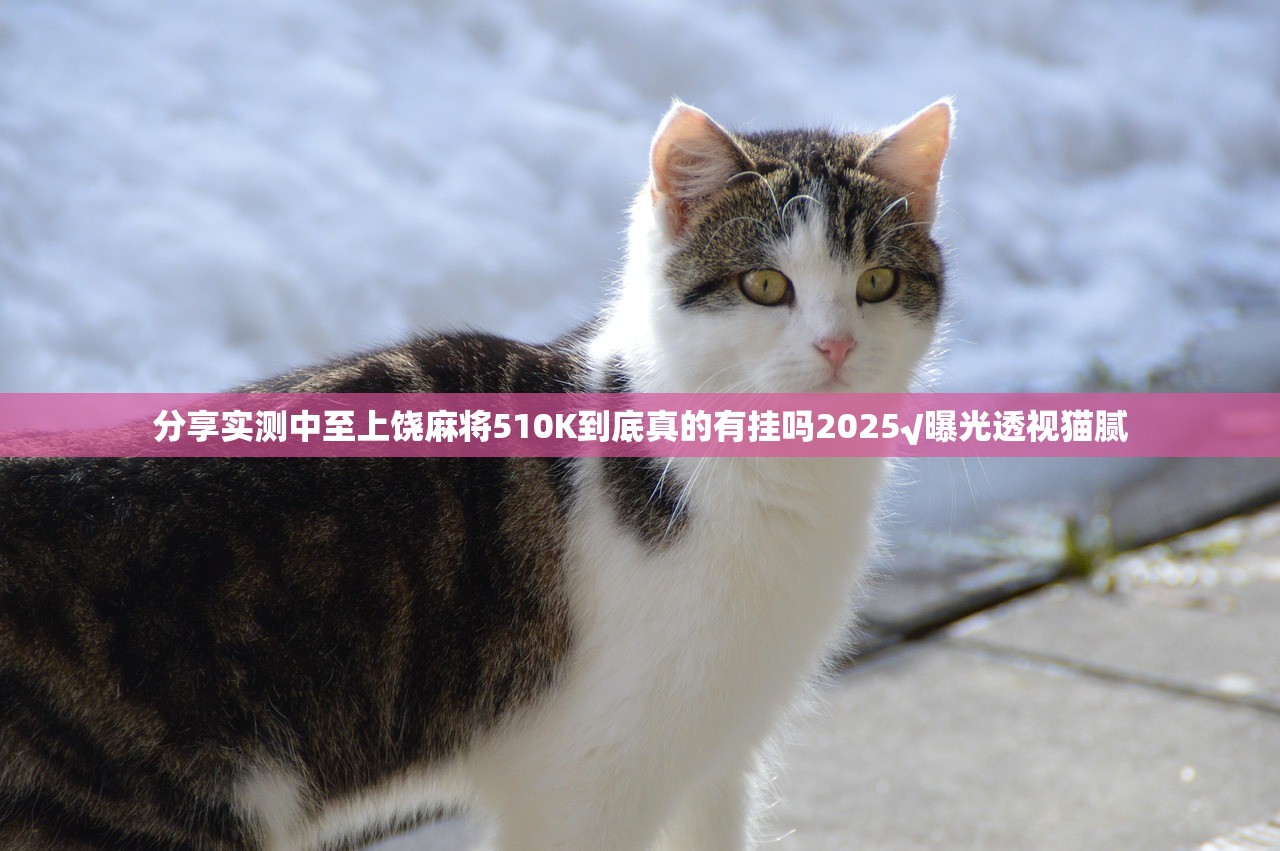 重大通报新时代可以装挂的√必胜开挂神器 重大通报新时代可以装挂的√必胜开挂神器