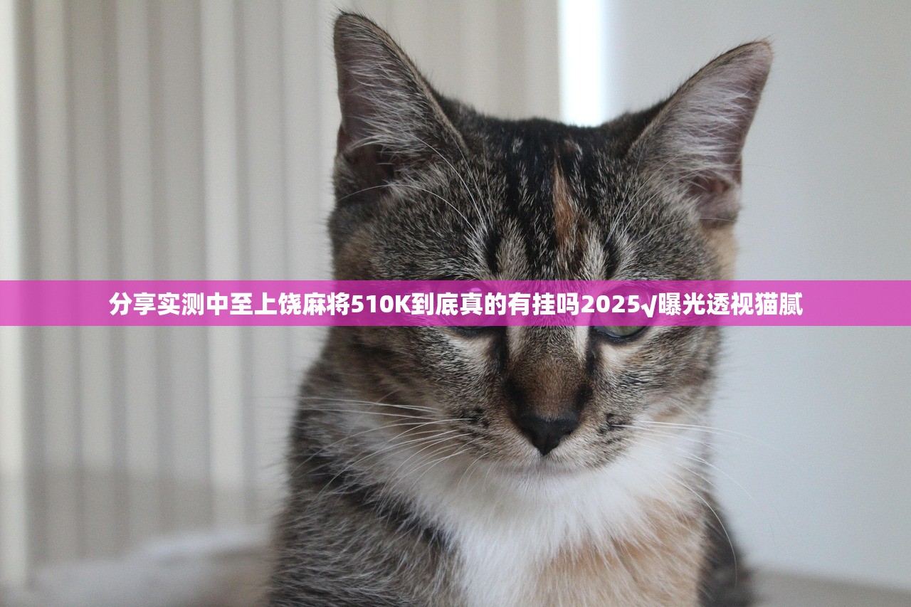 分享实测中至上饶麻将510K到底真的有挂吗2025√曝光透视猫腻 分享实测中至上饶麻将510K到底真的有挂吗2025√曝光透视猫腻