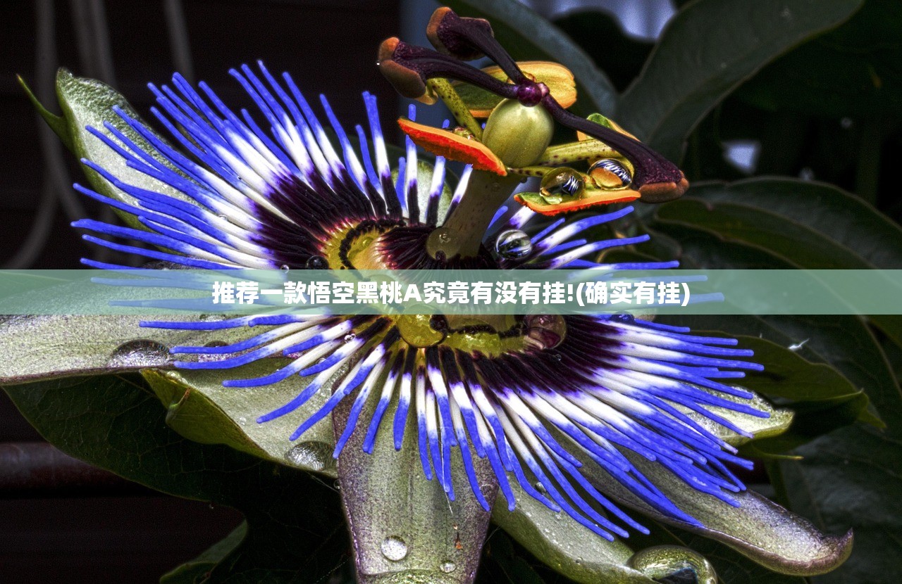 重大通报东游三张牌到底有没有挂确实有挂真的确实有挂