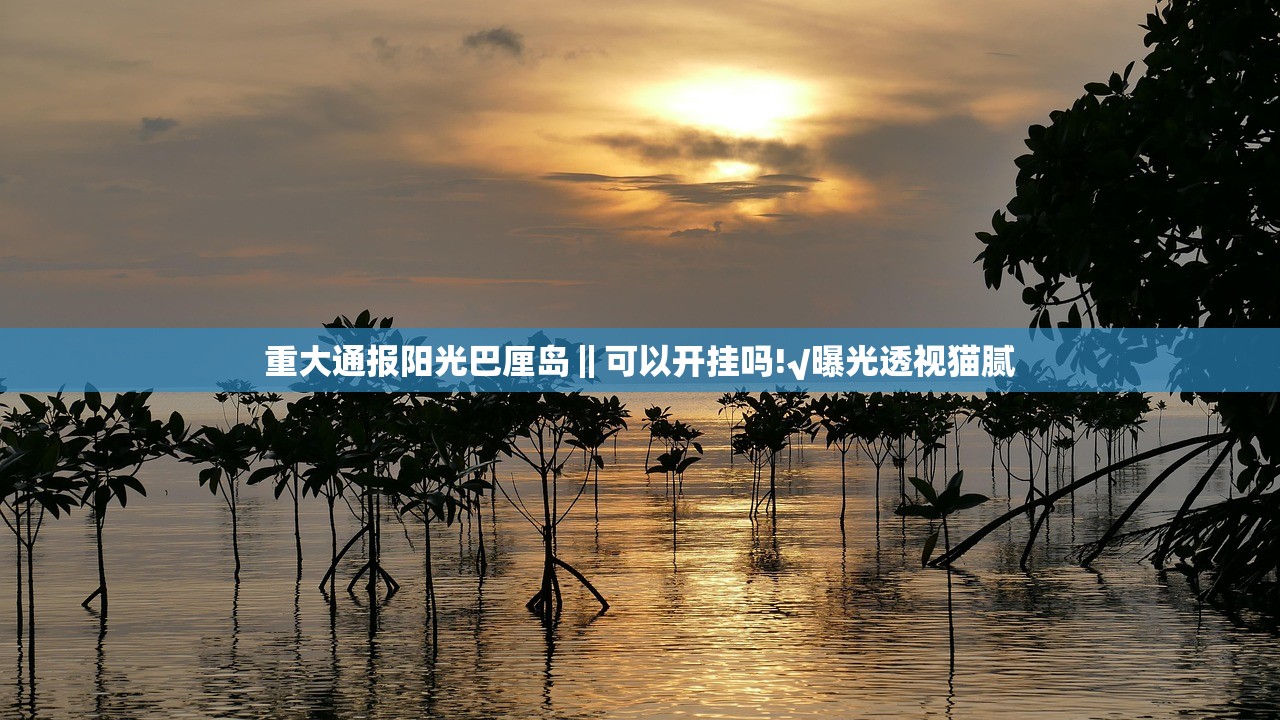 重大通报阳光巴厘岛‖可以开挂吗!√曝光透视猫腻