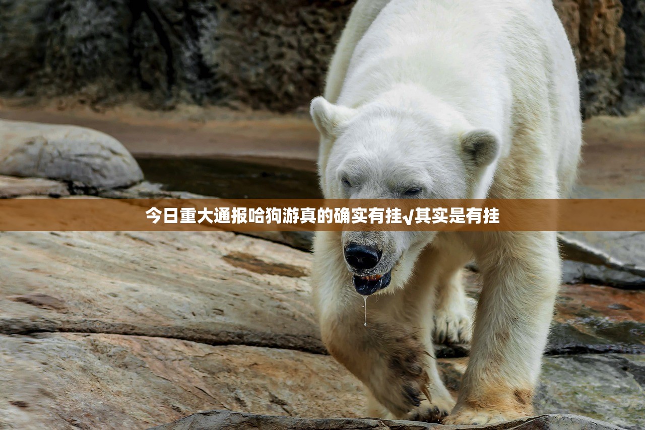 推荐一款天和娱乐确实有透视挂开挂神器