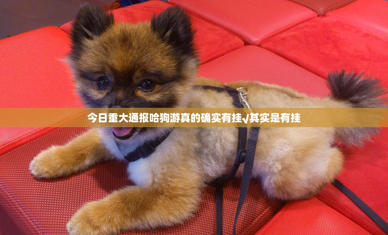 推荐一款微微娱乐确实有挂可以开挂√确实真的有挂