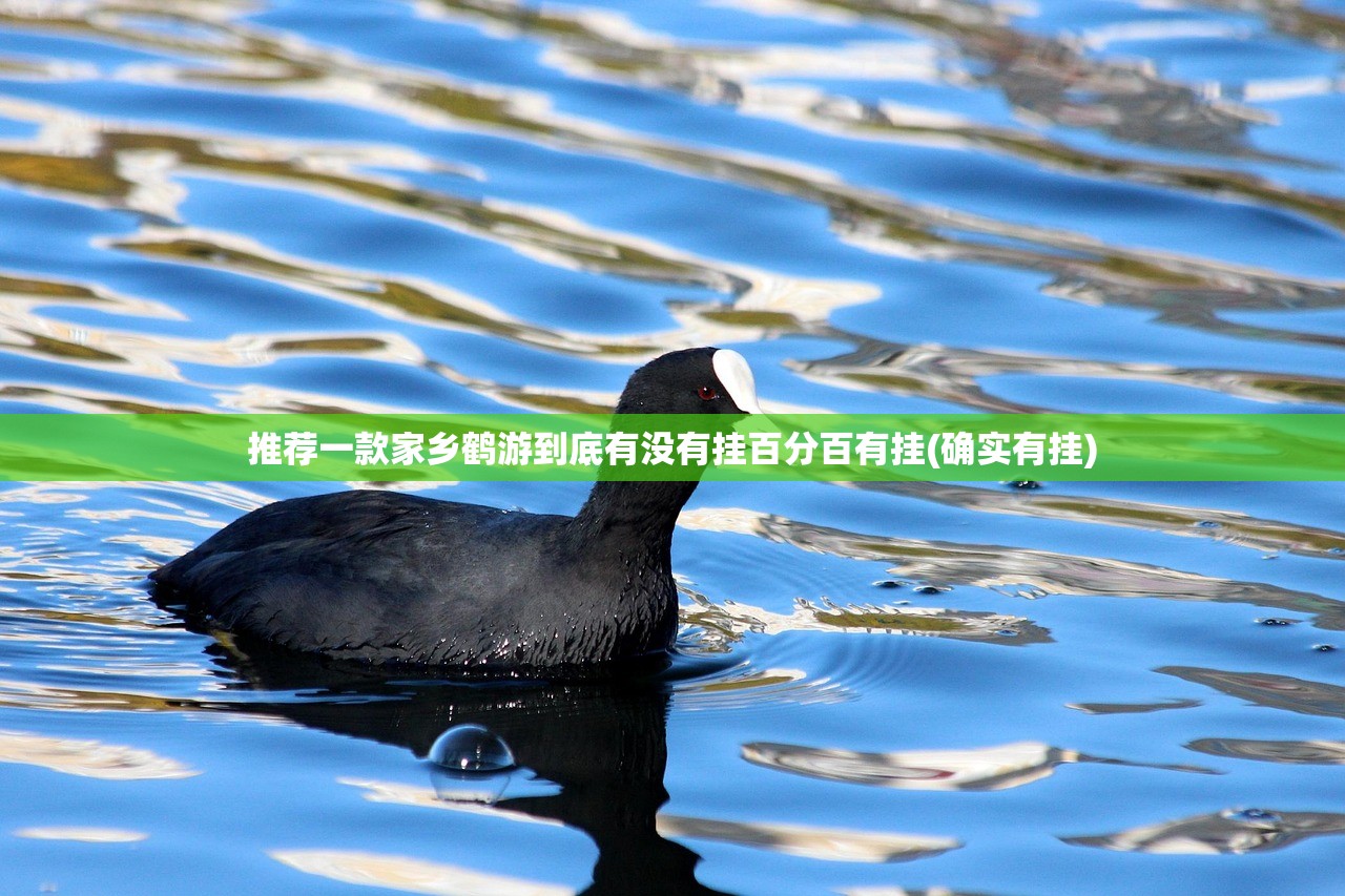 推荐一款家乡鹤游到底有没有挂百分百有挂(确实有挂) 推荐一款家乡鹤游到底有没有挂百分百有挂(确实有挂)