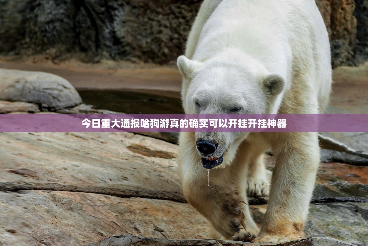 今日重大通报哈狗游真的确实可以开挂开挂神器