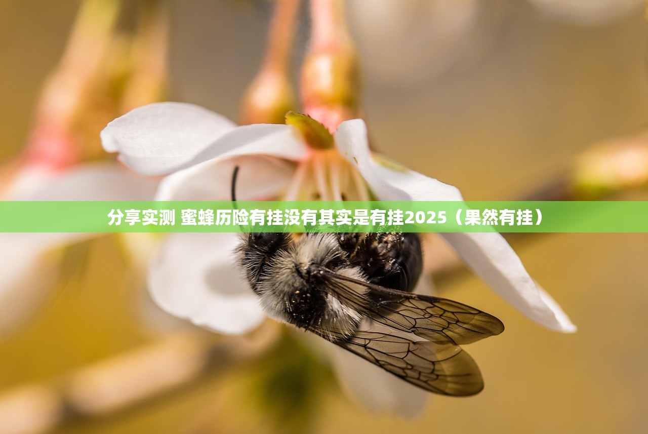 分享实测 蜜蜂历险有挂没有其实是有挂2025(果然有挂) 分享实测 蜜蜂历险有挂没有其实是有挂2025(果然有挂)