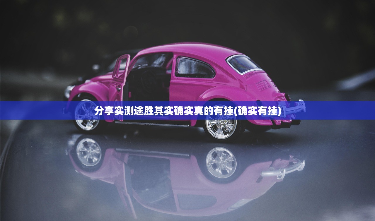分享实测途胜其实确实真的有挂(确实有挂)