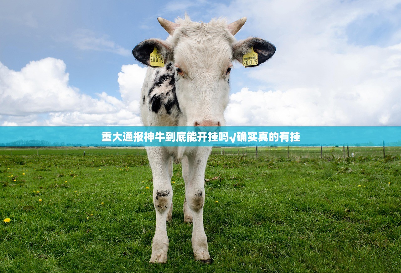 分享实测中至南昌麻将万能开挂神器原来真可以开挂