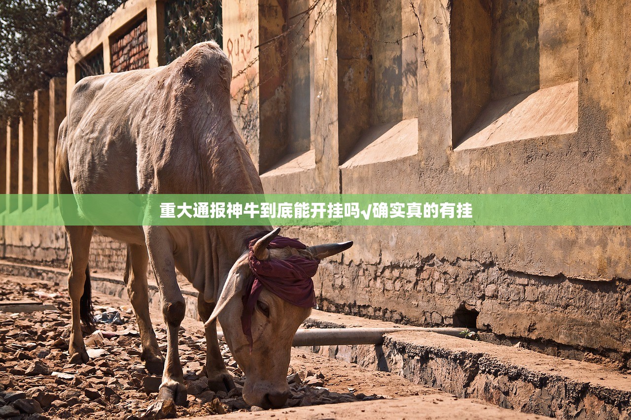 重大通报神牛到底能开挂吗√确实真的有挂
