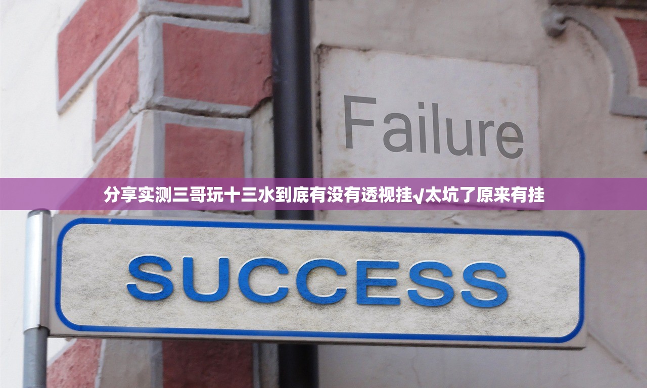 分享实测三哥玩十三水到底有没有透视挂√太坑了原来有挂