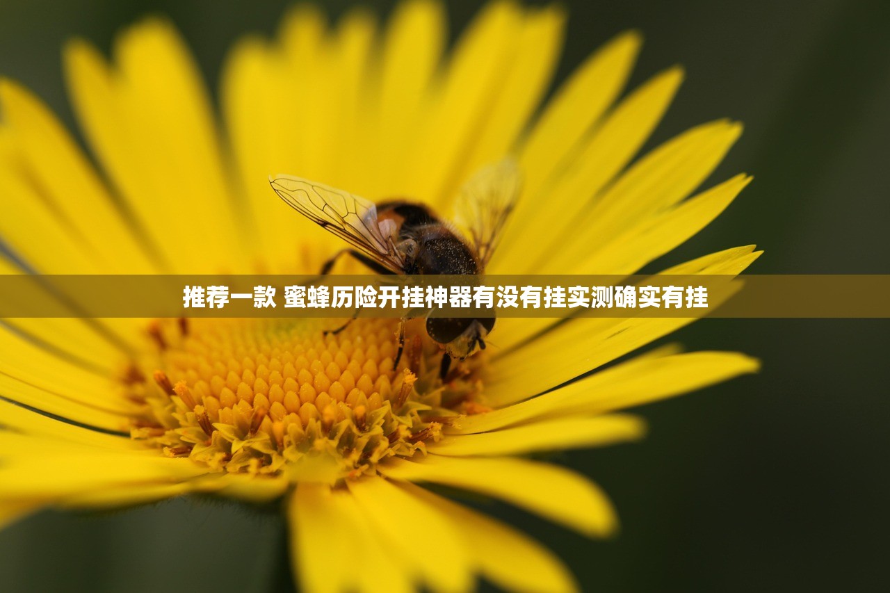 推荐一款 蜜蜂历险开挂神器有没有挂实测确实有挂