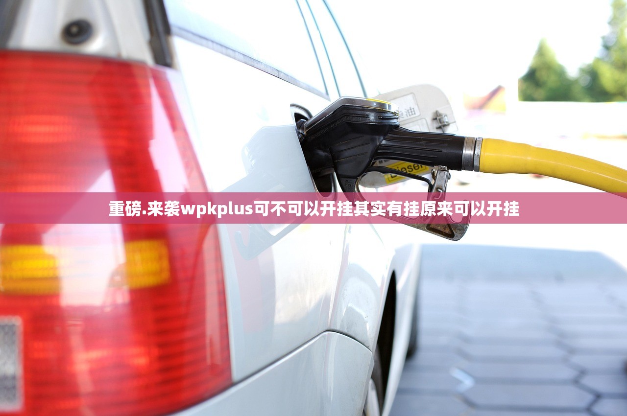 重磅.来袭wpkplus可不可以开挂其实有挂原来可以开挂