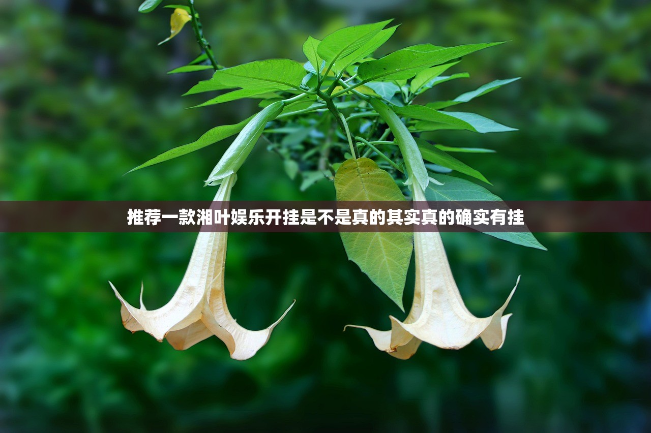 今日重大通报悠乐竞技可以装挂的√确实真的有挂