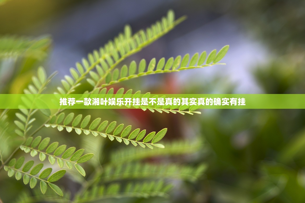 推荐一款湘叶娱乐开挂是不是真的其实真的确实有挂