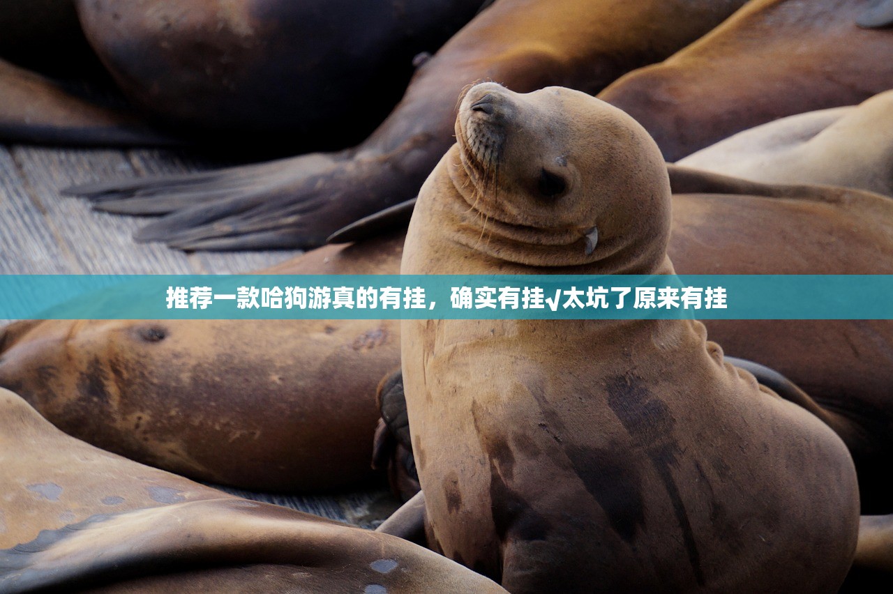 推荐一款哈狗游真的有挂，确实有挂√太坑了原来有挂