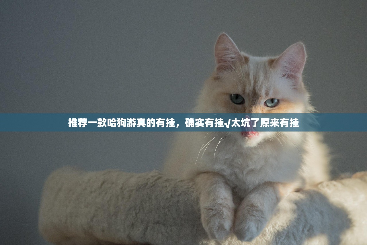 推荐一款哈狗游真的有挂，确实有挂√太坑了原来有挂