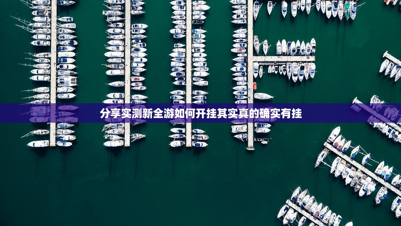 分享实测新全游如何开挂其实真的确实有挂