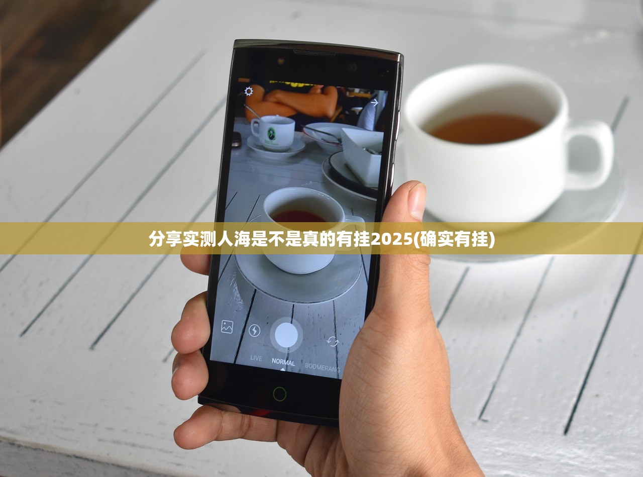 分享实测人海是不是真的有挂2025(确实有挂)