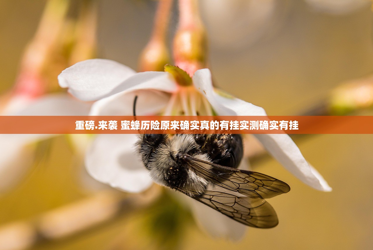 分享实测凉山跑得快怎样开挂√其实是有挂