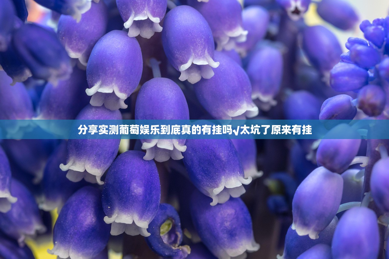 分享实测财神V5.0天天微友开挂在哪里买呢其实有挂-知乎