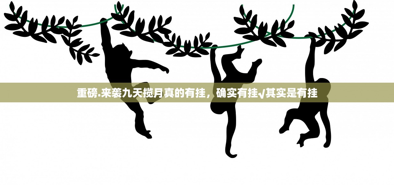 重磅.来袭九天揽月真的有挂，确实有挂√其实是有挂