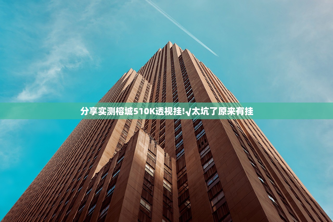 分享实测榕城510K透视挂!√太坑了原来有挂