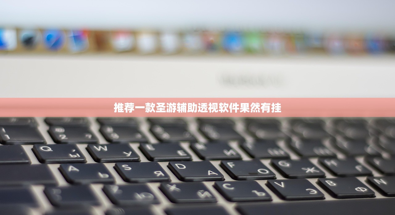 推荐一款圣游辅助透视软件果然有挂