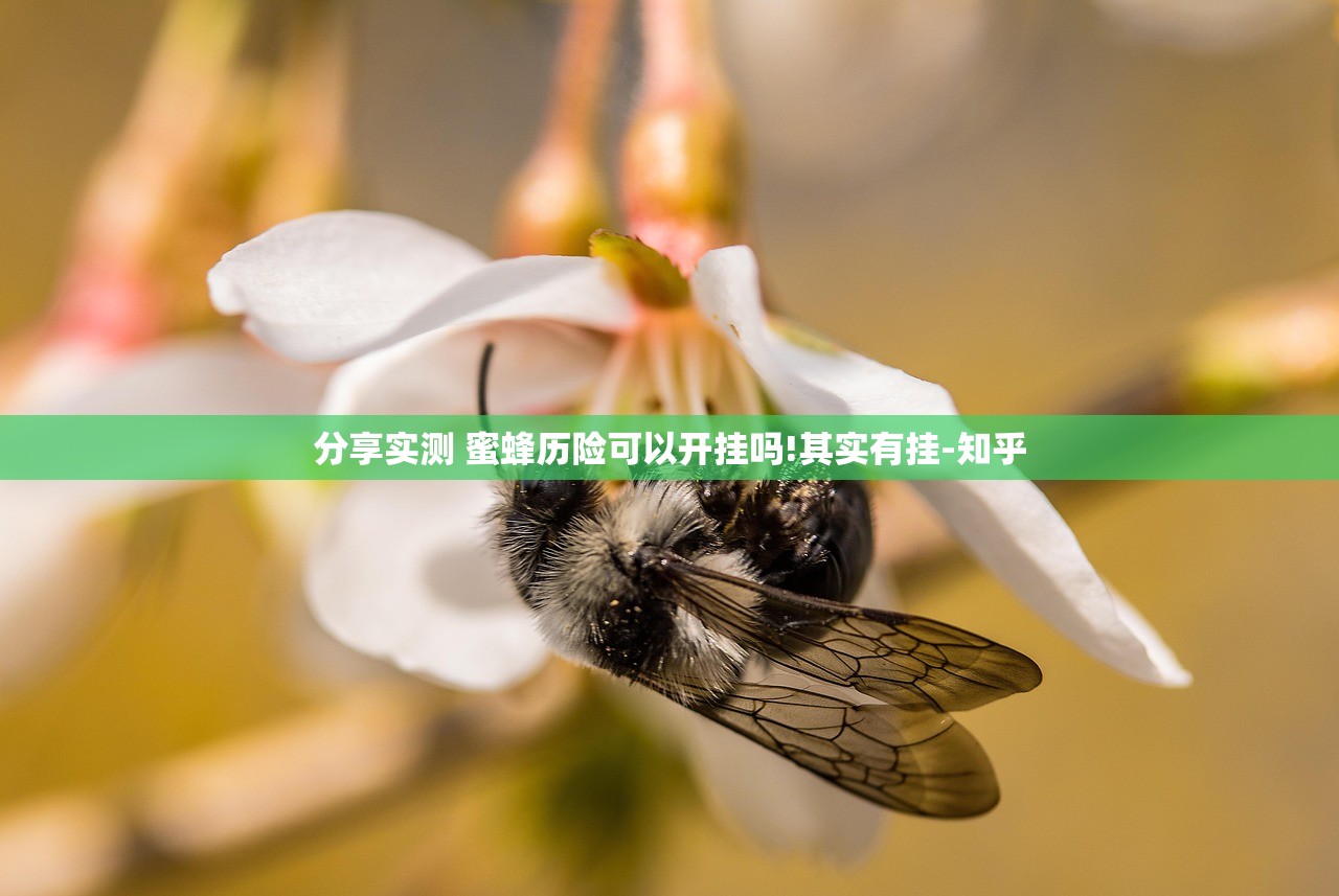 重磅.来袭新永和辅助软件√确实真的有挂