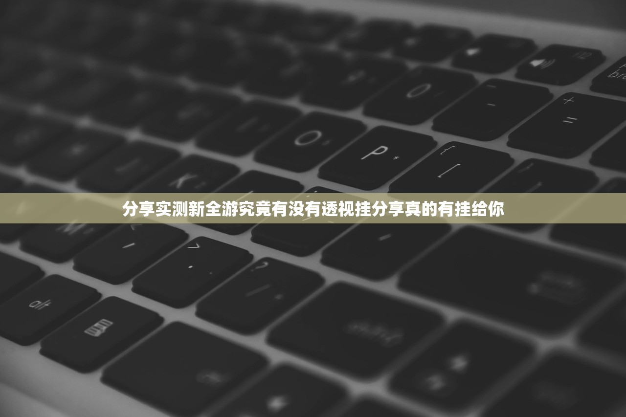 分享实测新全游究竟有没有透视挂分享真的有挂给你