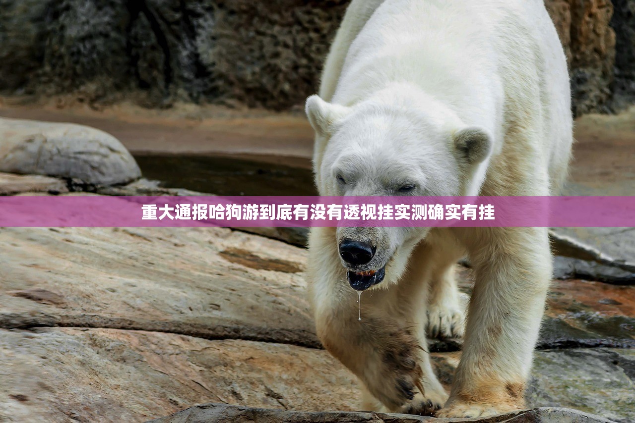 重大通报哈狗游到底有没有透视挂实测确实有挂