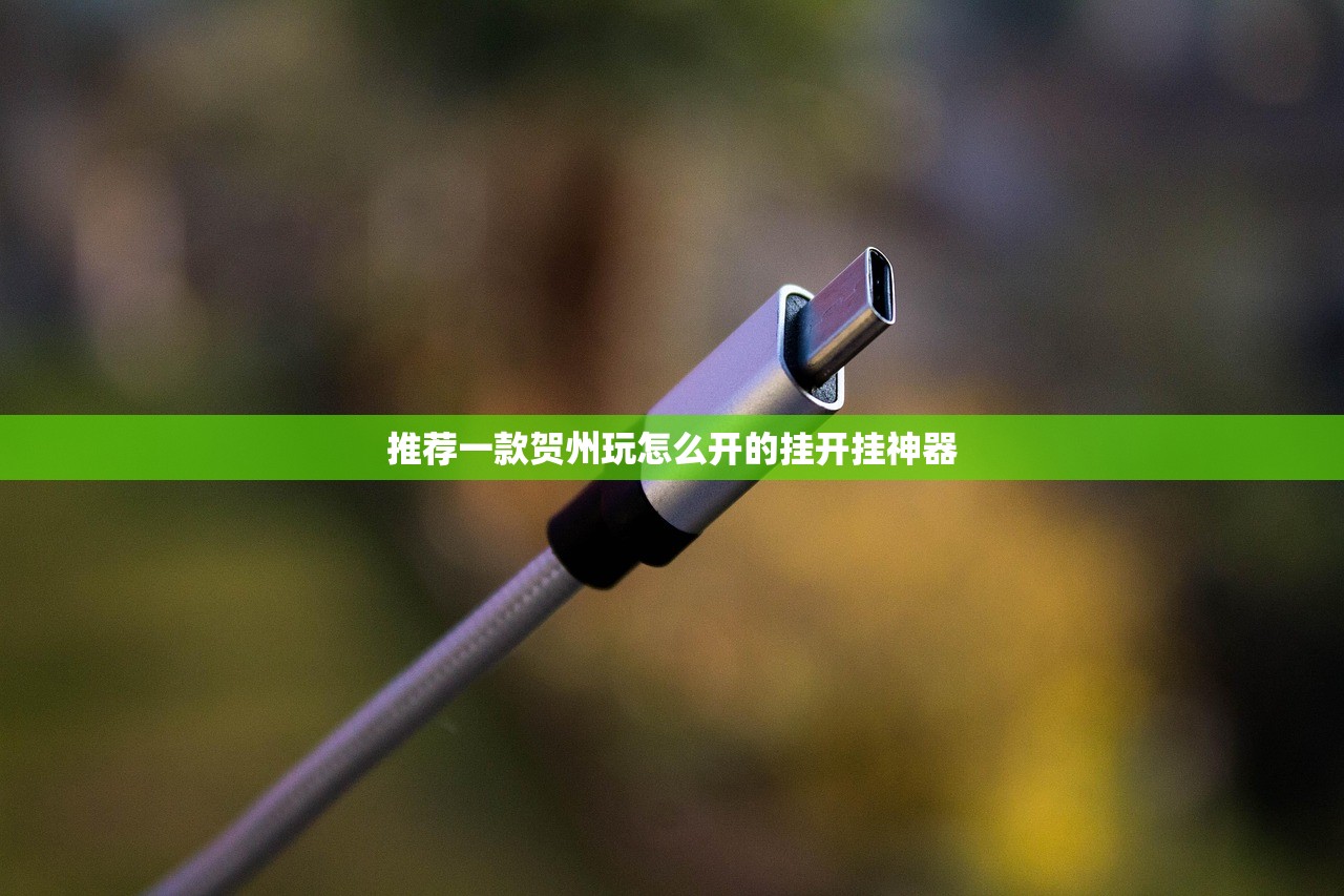 推荐一款贺州玩怎么开的挂开挂神器