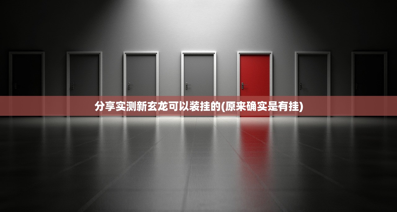 分享实测新玄龙可以装挂的(原来确实是有挂)