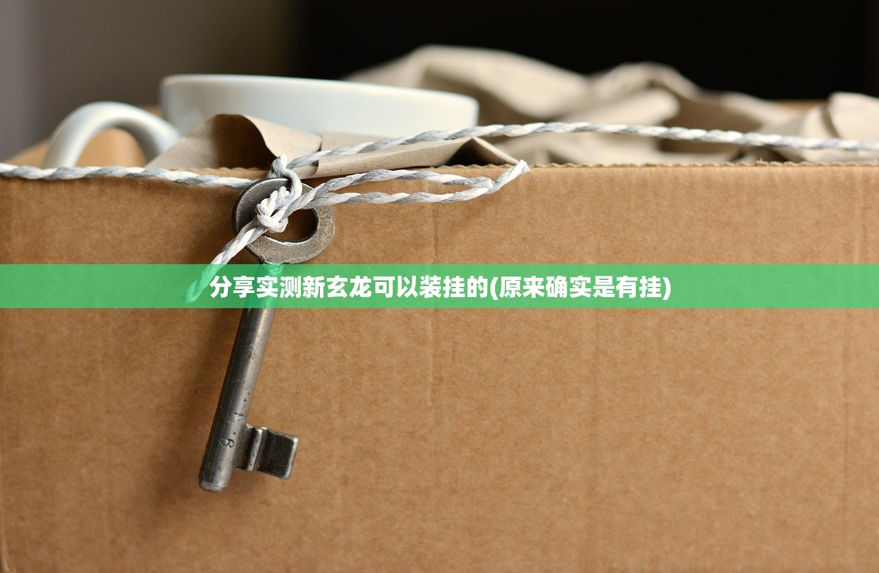 分享实测新玄龙可以装挂的(原来确实是有挂)