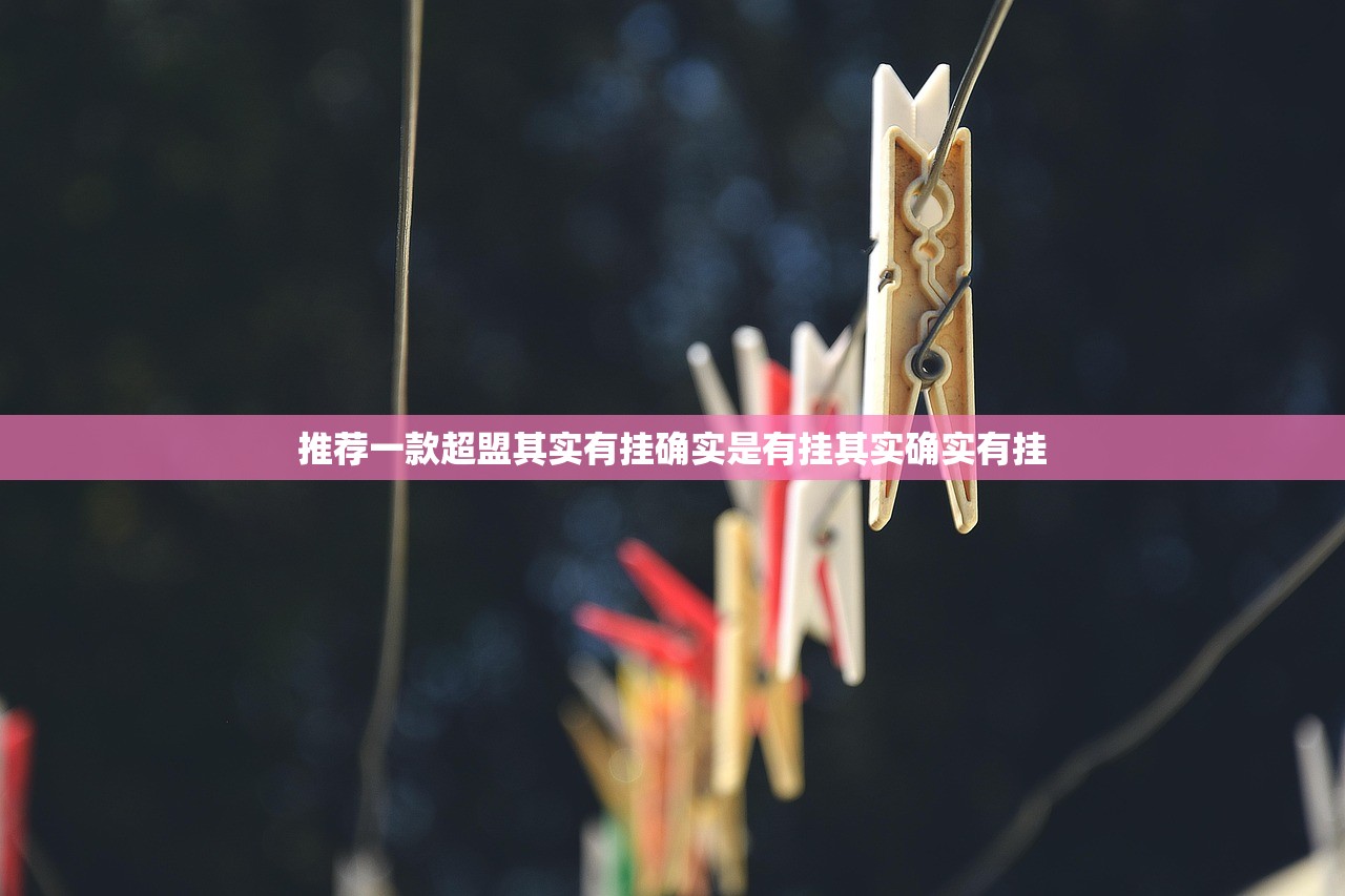 推荐一款超盟其实有挂确实是有挂其实确实有挂