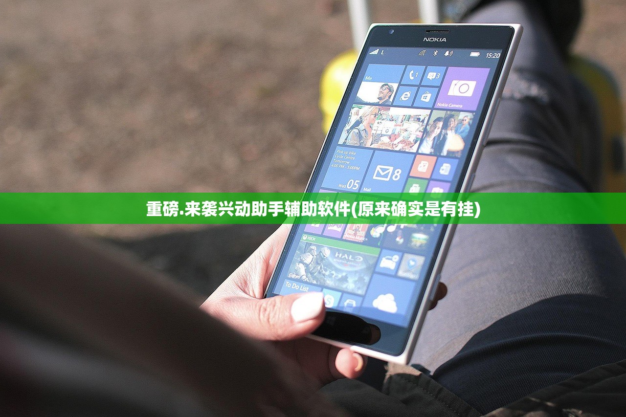 重磅.来袭兴动助手辅助软件(原来确实是有挂)