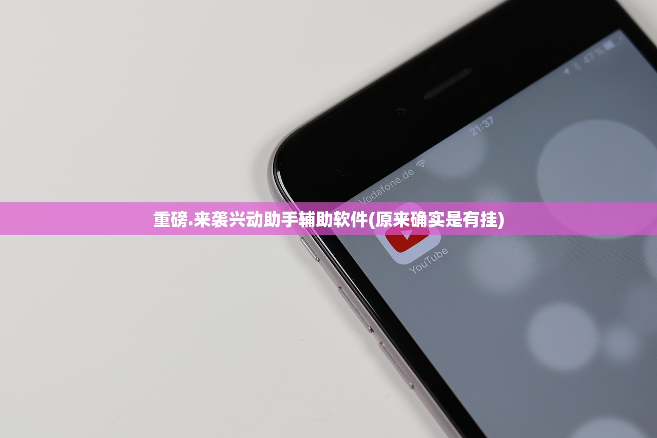 重磅.来袭兴动助手辅助软件(原来确实是有挂)