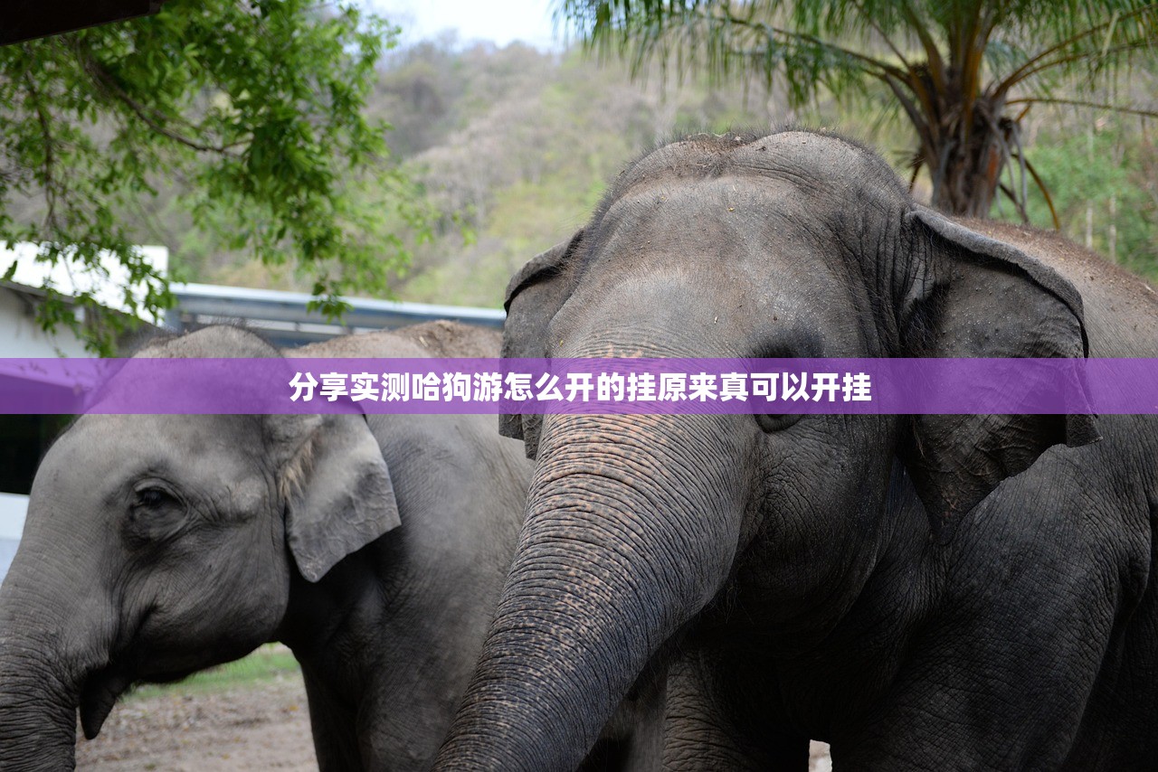 重磅.来袭微乐广西麻将有挂吗确实有挂√曝光透视猫腻