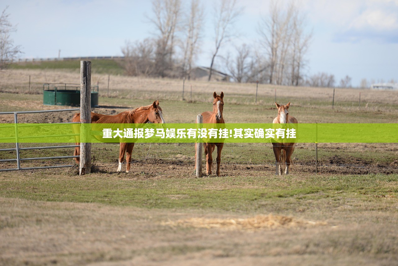 重大通报梦马娱乐有没有挂!其实确实有挂